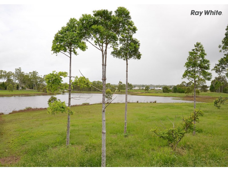 16 Golden Grove Court, Eli Waters QLD 4655