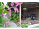 10 Meledie Avenue, Kawungan QLD 4655