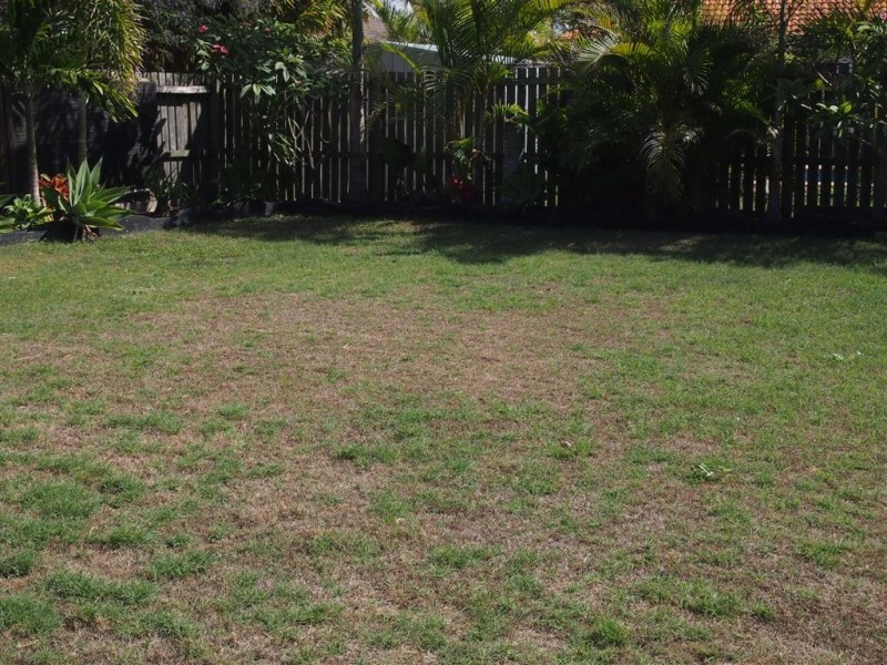 8 Kiwi Court, Point Vernon QLD 4655