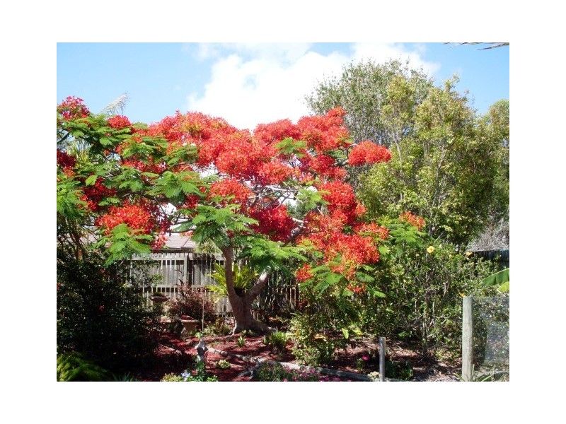 10 Aimee Drive, Urangan QLD 4655