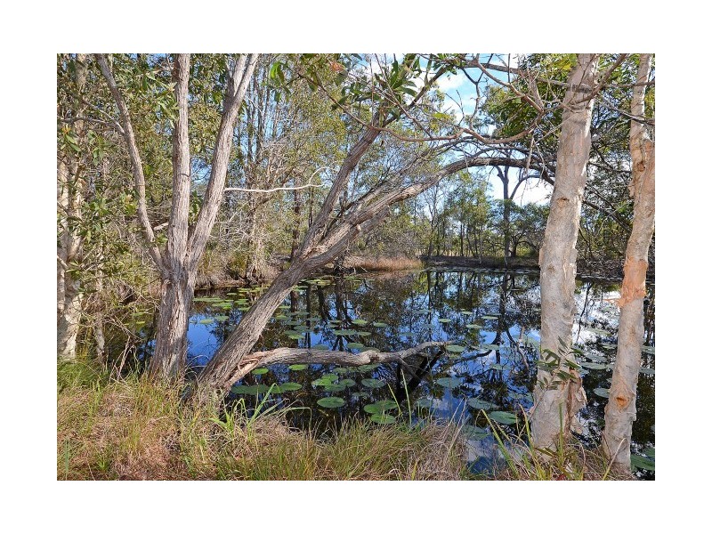 114 Curran Street, Booral QLD 4655