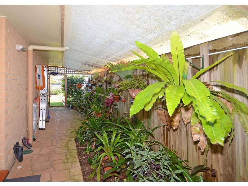 11 Treviso Court, Urangan QLD 4655
