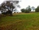 40-52 Sanctuary Hills Rd, Takura QLD 4655