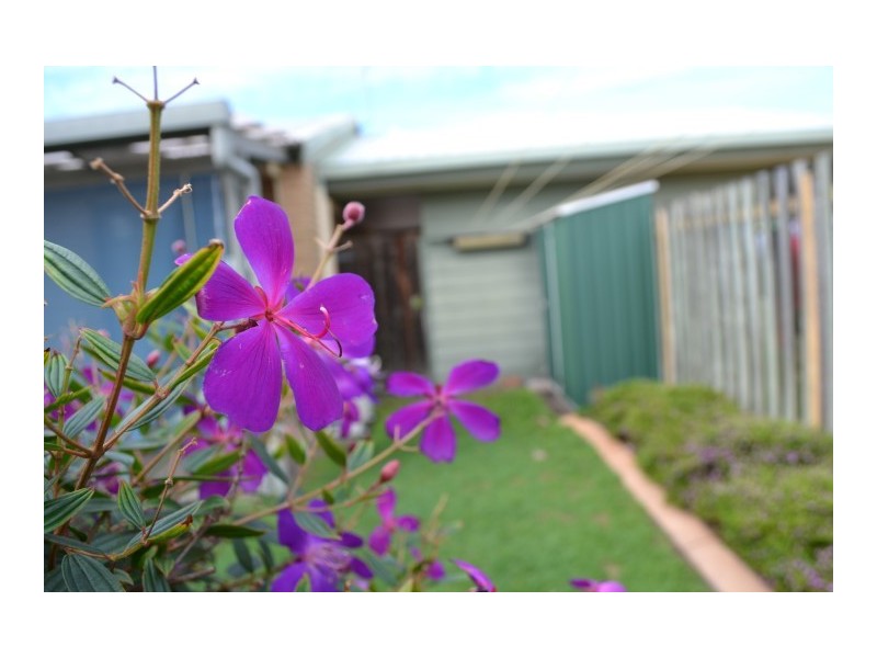 3/85 Miller Street, Urangan QLD 4655