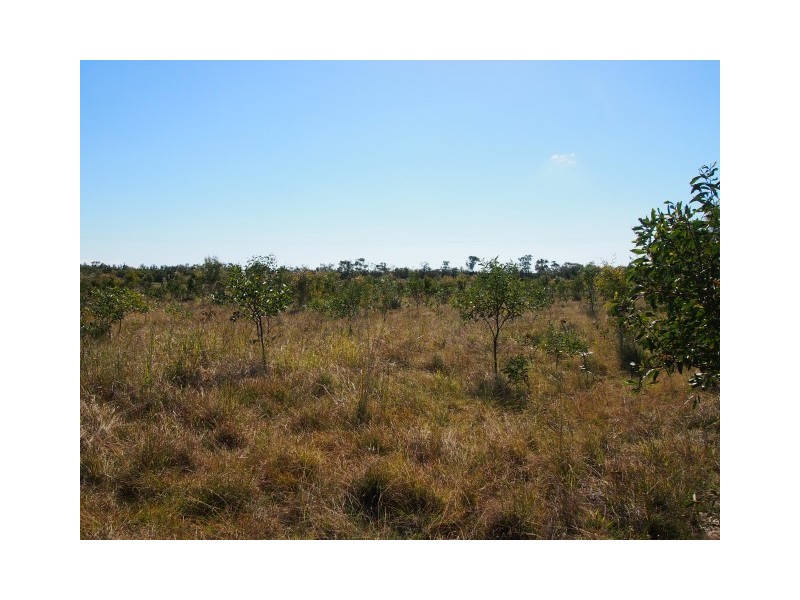 125 Curran Street, Bunya Creek QLD 4655