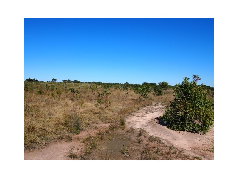 125 Curran Street, Bunya Creek QLD 4655