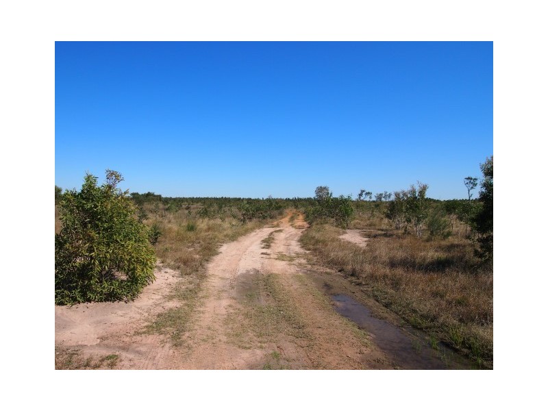 125 Curran Street, Bunya Creek QLD 4655