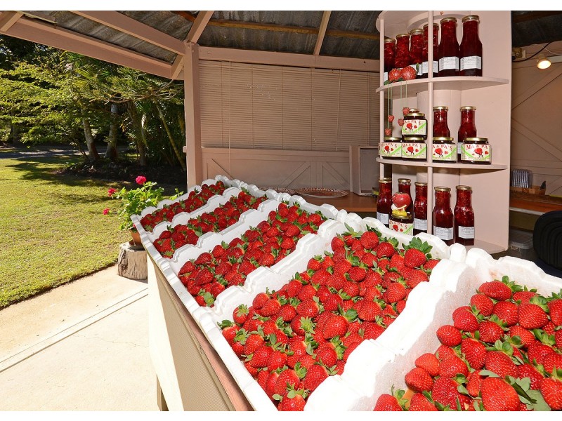 40 Doolong Road South, Wondunna QLD 4655