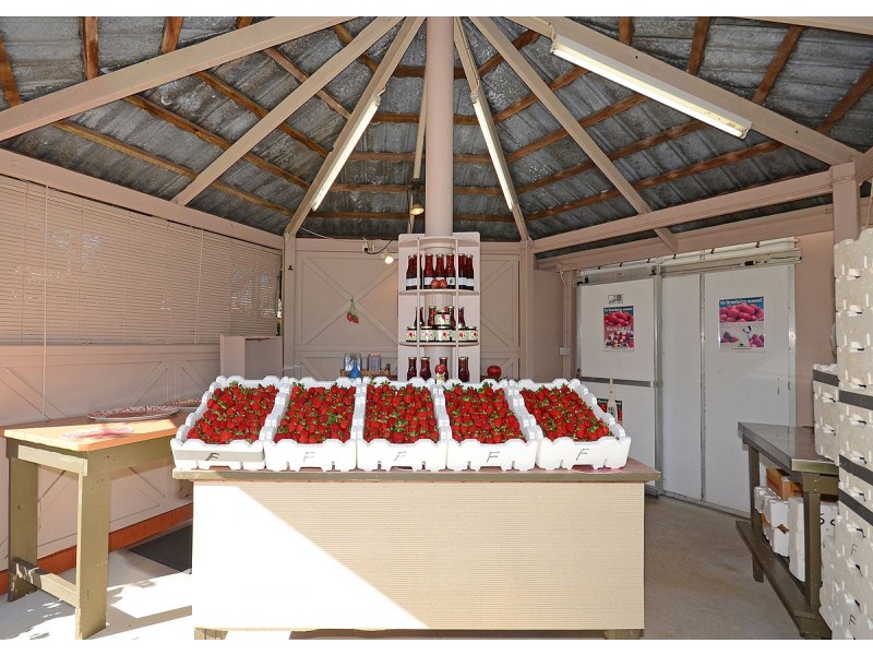 40 Doolong Road South, Wondunna QLD 4655