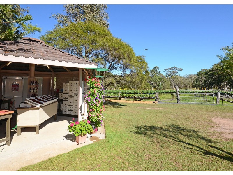 40 Doolong Road South, Wondunna QLD 4655