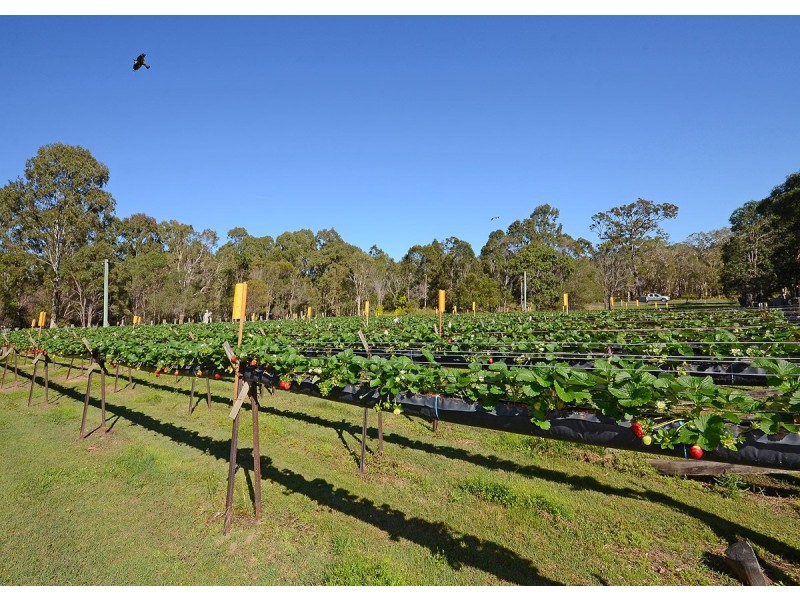 40 Doolong Road South, Wondunna QLD 4655