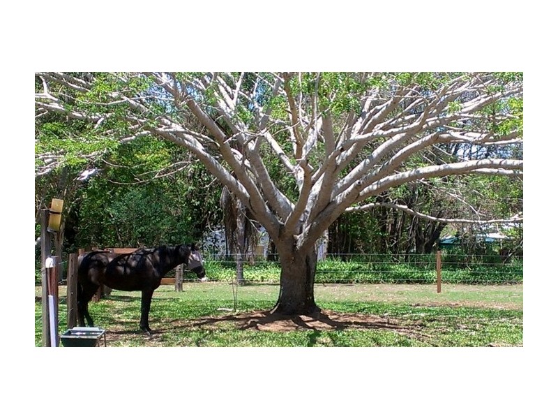 42 Rokeby Road, Booral QLD 4655