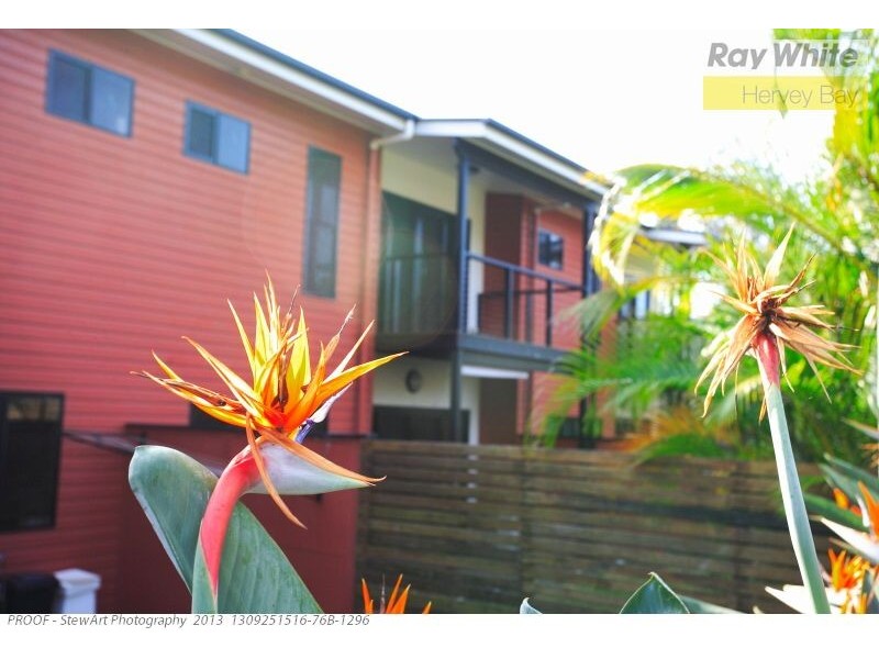 2 and 5/29 Tavistock Street, Torquay QLD 4655