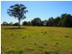 45 Shore Road West, Booral QLD 4655
