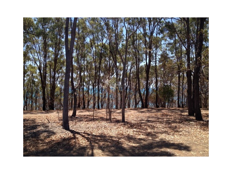42 Esplanade, Point Vernon QLD 4655