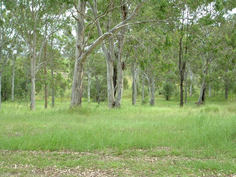 54 Bengtson Road, River Heads QLD 4655