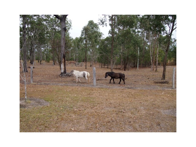 54 Bengtson Road, River Heads QLD 4655