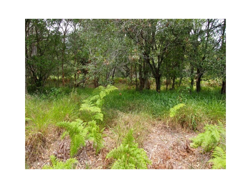 434 Oregan Creek Road, Toogoom QLD 4655