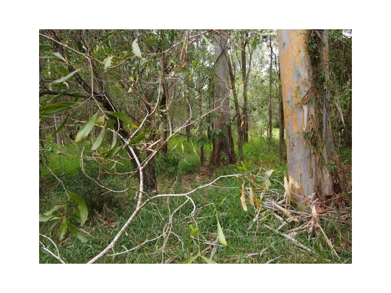 434 Oregan Creek Road, Toogoom QLD 4655