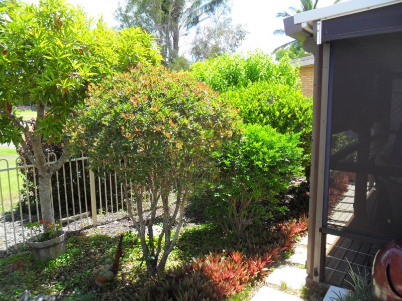 16/230 Torquay Terrace, Torquay QLD 4655
