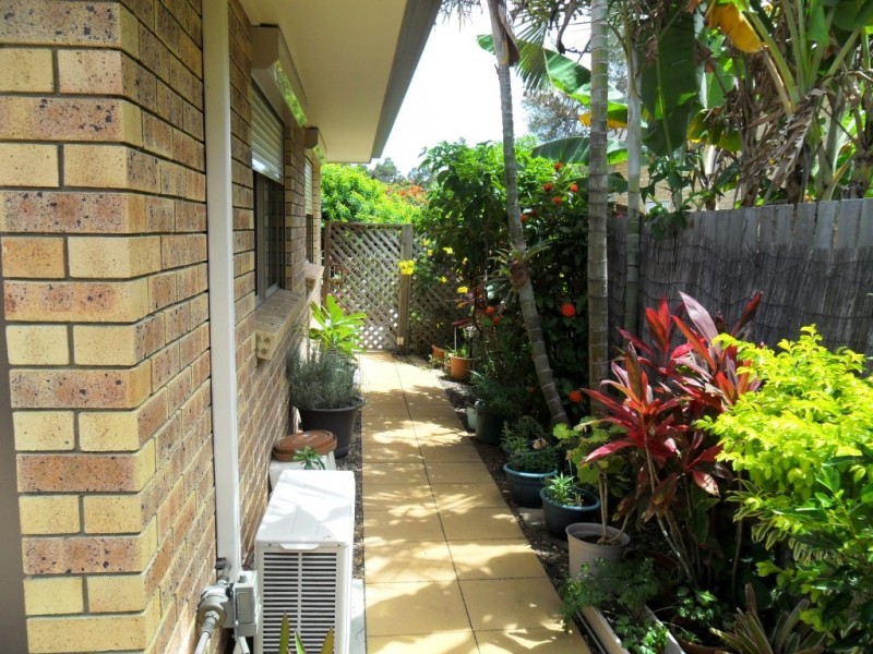 16/230 Torquay Terrace, Torquay QLD 4655