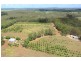 751 Teddington Road, Teddington QLD 4650