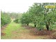 751 Teddington Road, Teddington QLD 4650