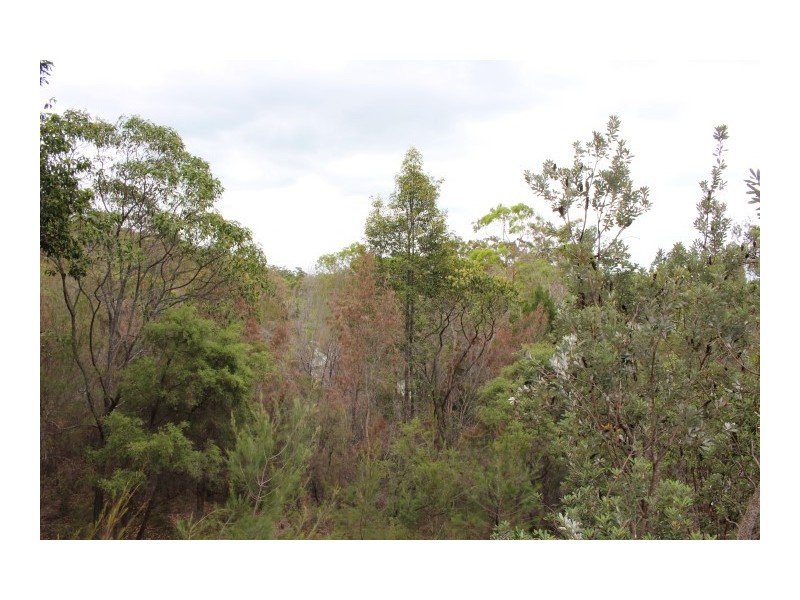 524 Banksia Villa, Fraser Island QLD 4581