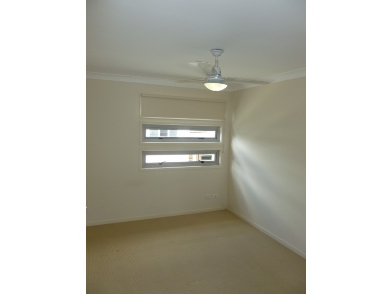 8/39-41 Stephenson Street, Pialba QLD 4655