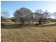 177 Cove Boulevard, River Heads QLD 4655