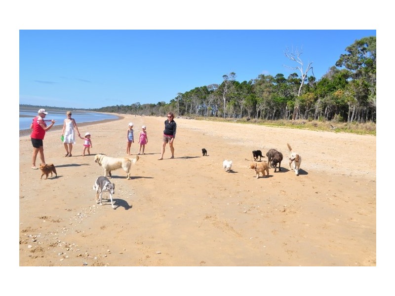 13 Nautilus Court, Dundowran Beach QLD 4655