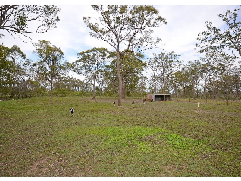 54 Lord Street, Sunshine Acres QLD 4655