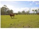 Lot 3 Leos Road, Walligan QLD 4655