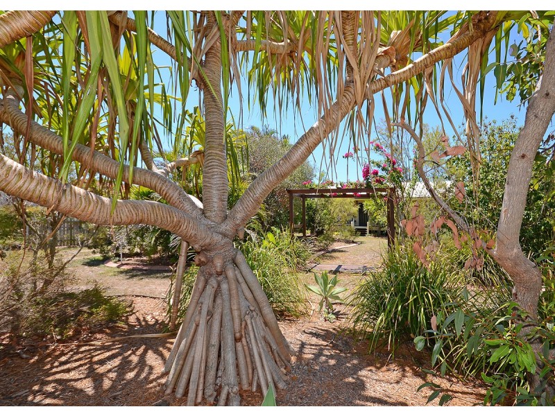 20 Helsham Str, Point Vernon QLD 4655