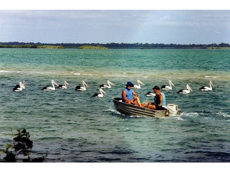 94 Riverview Drive, Burrum Heads QLD 4659