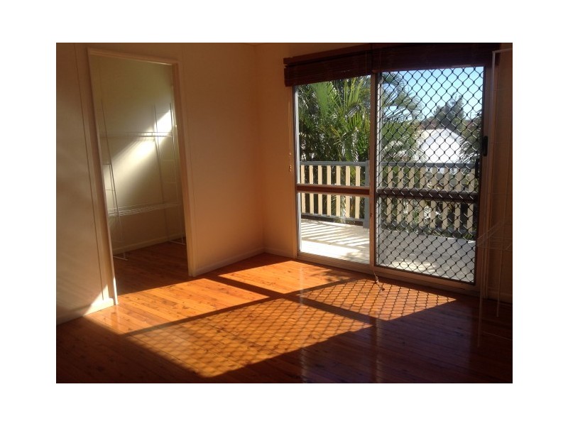 20b Maple Street, Pialba QLD 4655