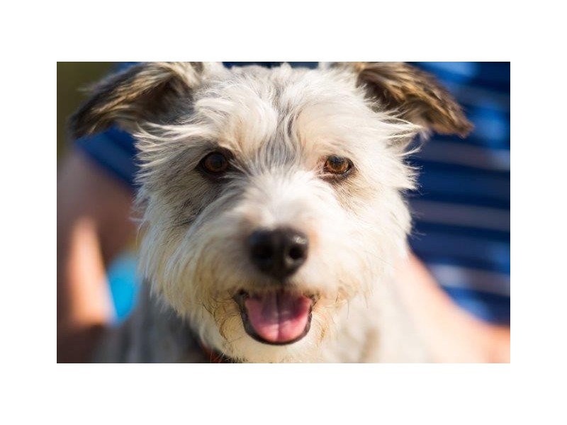 25-67 Pialba-Burrum Heads Road, Hervey Bay QLD 4655