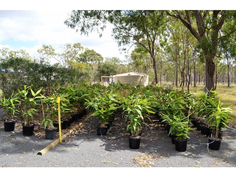 15 Elboz Court, Burrum Heads QLD 4659