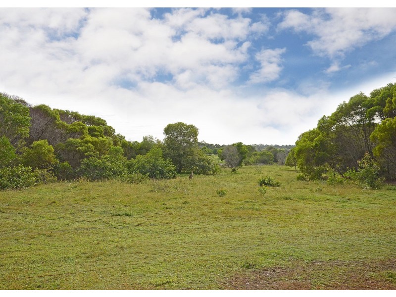 22 Waigani Avenue, Kawungan QLD 4655