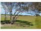 13 Loggerhead Court, River Heads QLD 4655