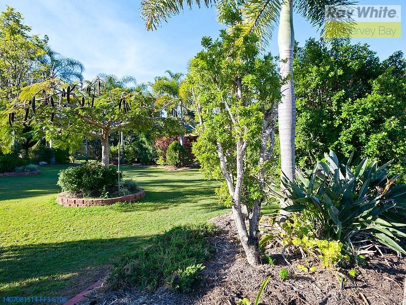 5 Jindera Crt, Wondunna QLD 4655