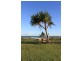 4 Williams Avenue, Fraser Island QLD 4581