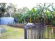 5 Elm Court, Kawungan QLD 4655