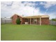 17 Deloraine Avenue, Urangan QLD 4655