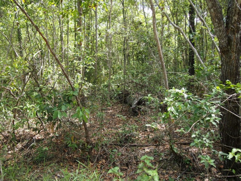 1091 – 1153 Torbanlea Road, Takura QLD 4655