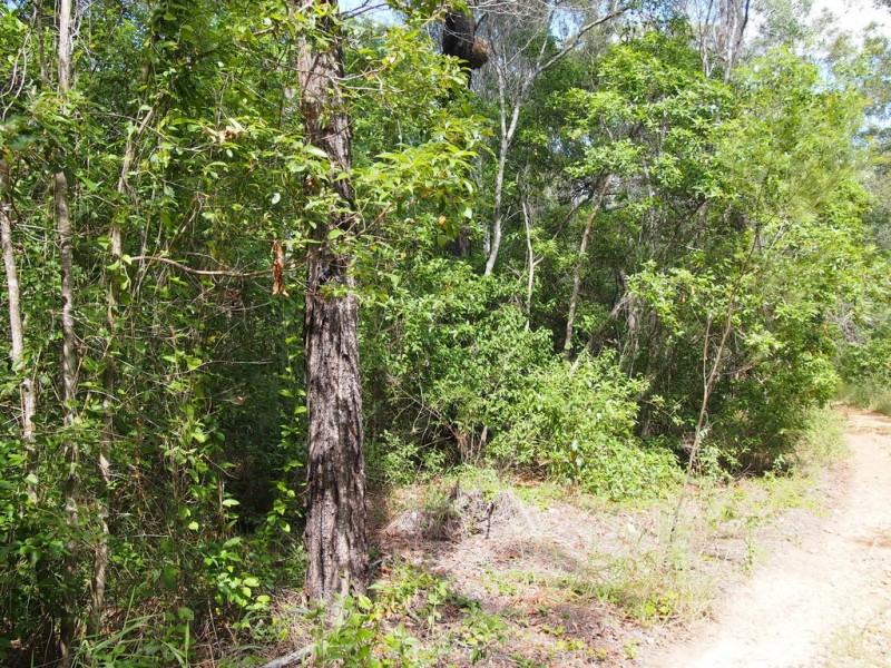 1091 – 1153 Torbanlea Road, Takura QLD 4655