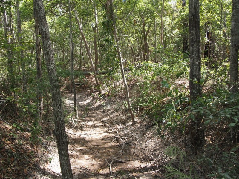 1091 – 1153 Torbanlea Road, Takura QLD 4655