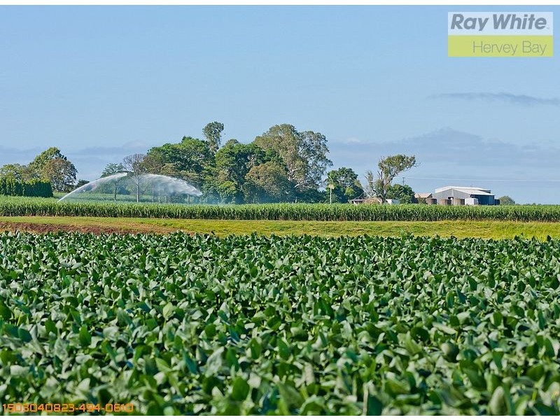 Tinana QLD 4650