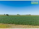 Tinana QLD 4650