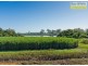 Tinana QLD 4650